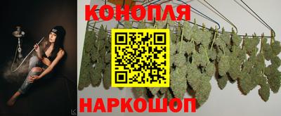 индика Аша