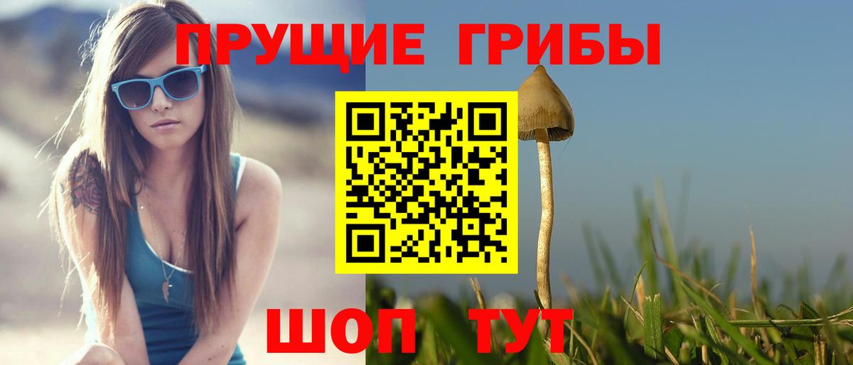 Псилоцибиновые грибы мицелий  Вход с VPN  Вышний Волочёк 